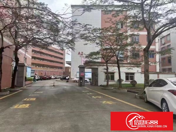 东莞塘厦凤凰岗 高速路口附近 新出楼上2500平方  精装修，水电齐全，可分租