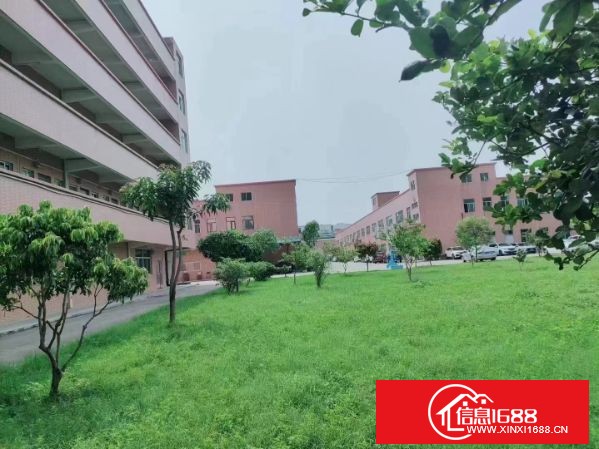 东莞塘厦原房东园区总面积14000平方：1号厂房5000平共2层 2号厂房5000平共2层 宿舍1800平方， 钢构面积2200平方，可整租可分租