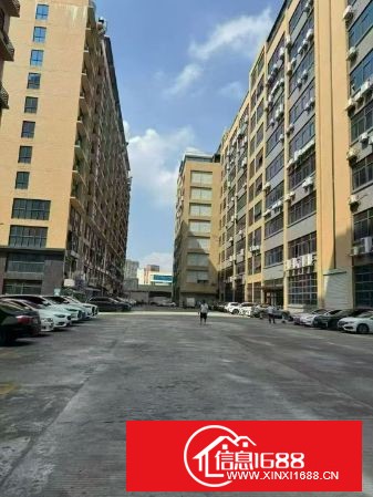 长安镇沙头滨海新区，原房东自建厂房 一楼1200平方(电费按电网) 有现成装修办公室&nbsp;&nbsp;层高5.8米梁下5.1米