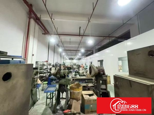 长安镇沙头滨海新区，原房东自建厂房 一楼1200平方(电费按电网) 有现成装修办公室&nbsp;&nbsp;层高5.8米梁下5.1米