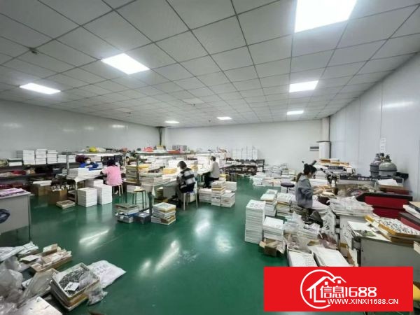 长安镇沙头滨海新区，原房东自建厂房 一楼1200平方(电费按电网) 有现成装修办公室&nbsp;&nbsp;层高5.8米梁下5.1米