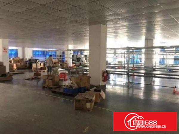 石排庙边王新出3楼实际面积800平原房东厂房出租，带装修