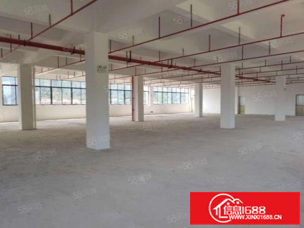 布吉木棉湾电商仓库出租1至5楼单层面积1000平100平起分