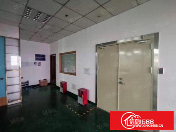 大浪新百丽原房东厂房精装修500平