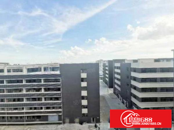 高速口形象好！均安世友标准3600方有喷淋有空地间隙大