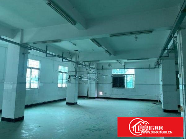 屋主直租不是中介带电梯600平/层