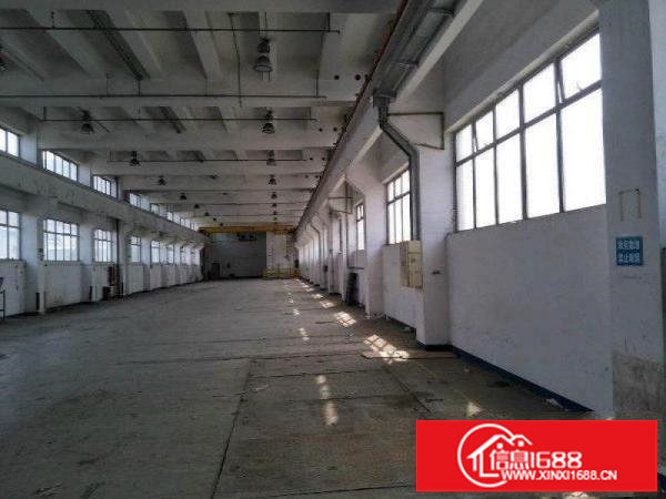 出租布吉丽湖300平高6.7米厂房
