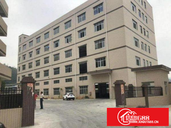 坂田原房东一楼无公摊960平可分租