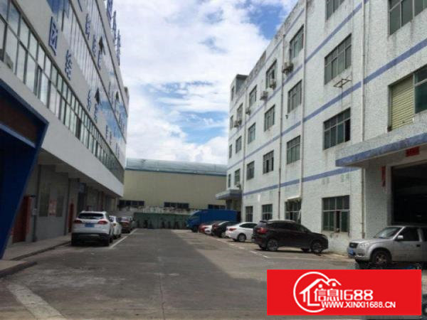 坪山坑梓比亚迪附近新出1000平现成精装修厂房