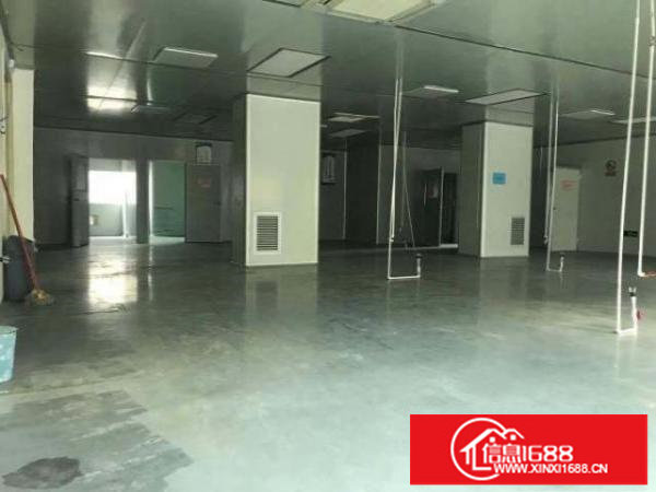 出租坪山区坑梓原房东新出精装修一二楼各800平整租报价22