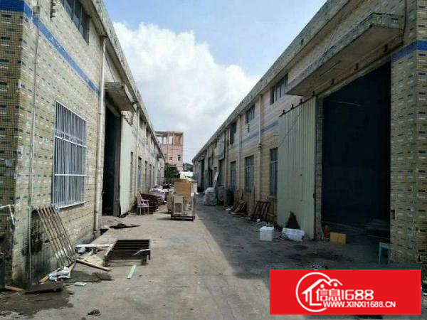 惠阳秋长独院单一层15500平米出租