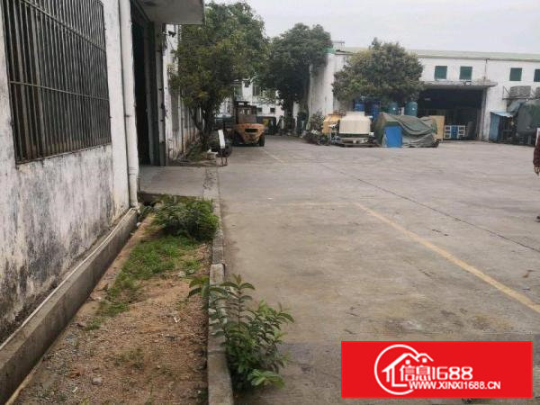 大岭山单一层钢构850平方，带牛角，空地大！