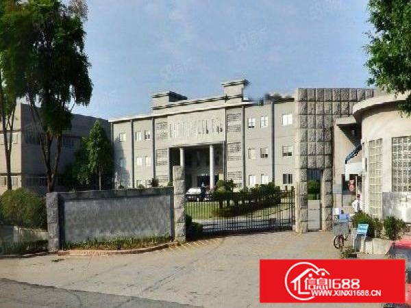 东部快线出口附近全新独门独院厂房出租急租