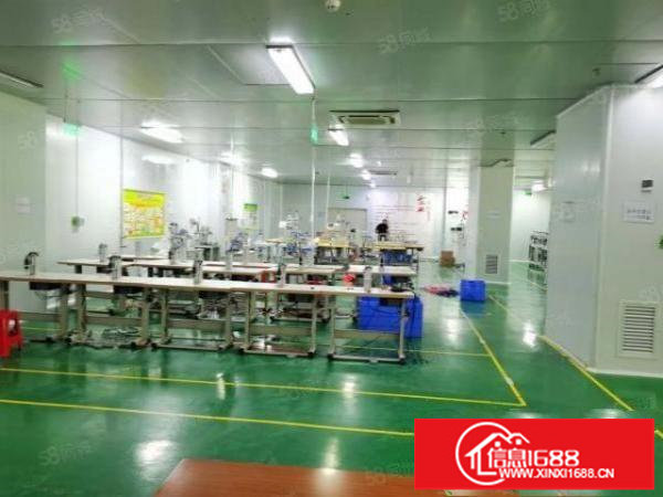 观澜福民地铁站300平方米100平起分豪华装修厂房招租出租