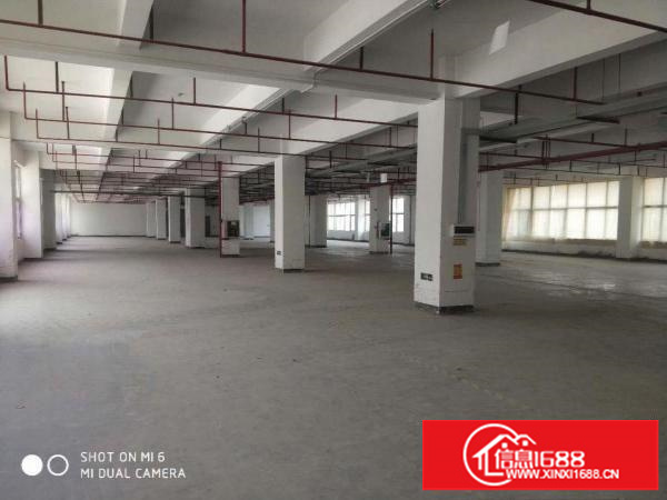 横岗荷坳地铁站附近新出厂房面积2000平米出租大小可以随意分