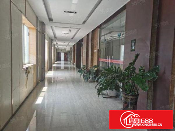 龙岗同乐工业区，直接业主，原房东红本独院厂房出租