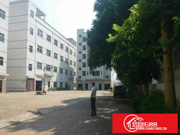 龙岗高新科技园厂房宿舍办公室仓库招租