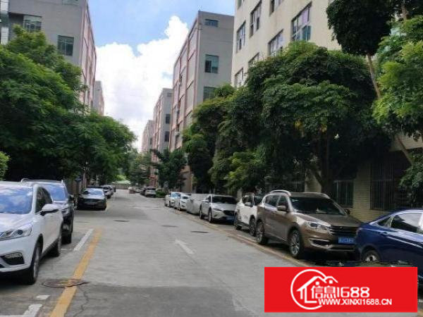 观澜原房东红本厂房2楼整层1980平实际面积出租带消防喷淋