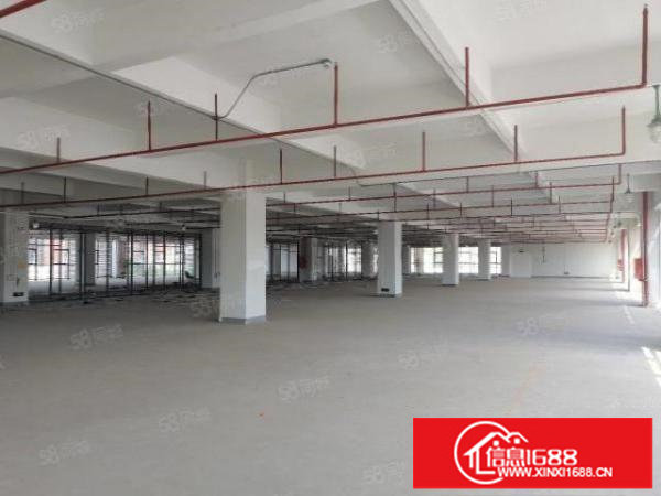 坂田高新园区1000平企业总部研发电商园厂房开发商招租