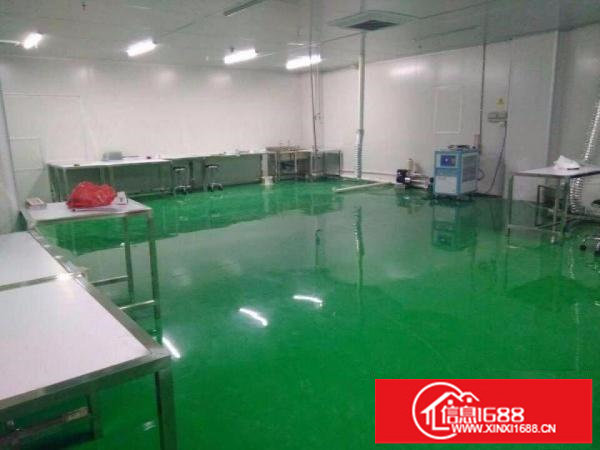 龙岗坪地新出楼上1500平无尘车间带豪华办公室