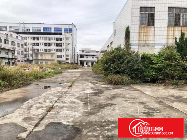 长安挨着虎门单一层独院2300平，原房东，空地大