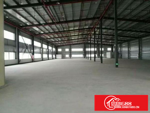 万江周边独门独院单一层铁皮1000平方出租有空地宿舍300平