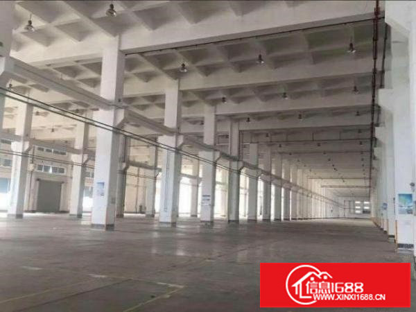 坑梓10米高钢构厂房23000平米出租可分组