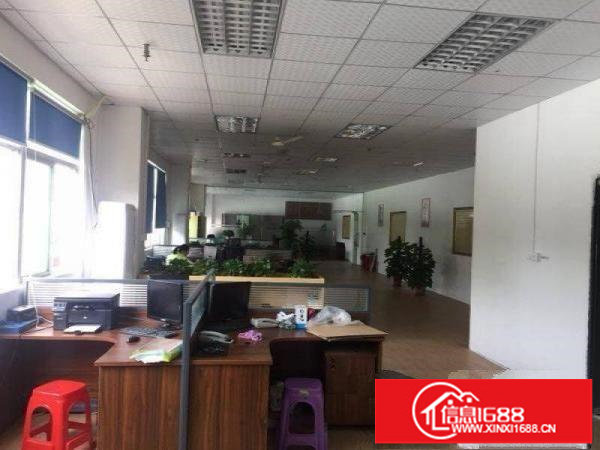 坂田南坑村新空出1100平方厂房带精装修出租