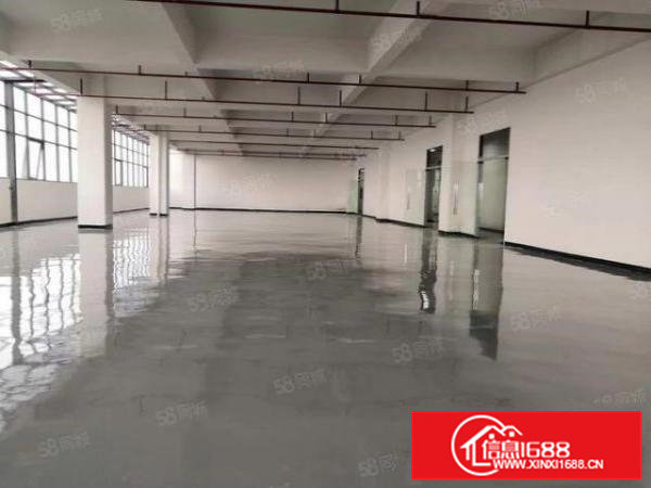 企石镇原房东标准独院厂房，可分租，距离高速路口近，成熟工业区