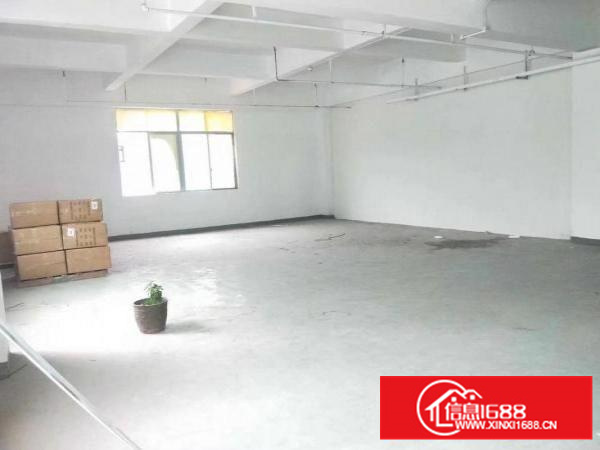 坂田亚洲工业园238平方米厂房出租