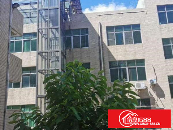 横岗安良原房东花园式独院厂房7100平19元