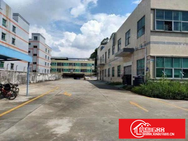 清溪三中主干道旁新出一楼标准厂房1300平，现成装修水电齐全