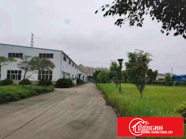 常平全新原房东独院1300平钢构，滴水9米工业用地带装修