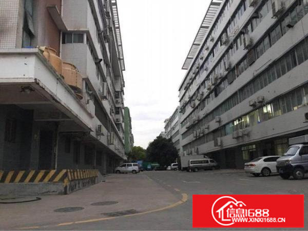 坂田新出一楼带装修2000平米厂房出租