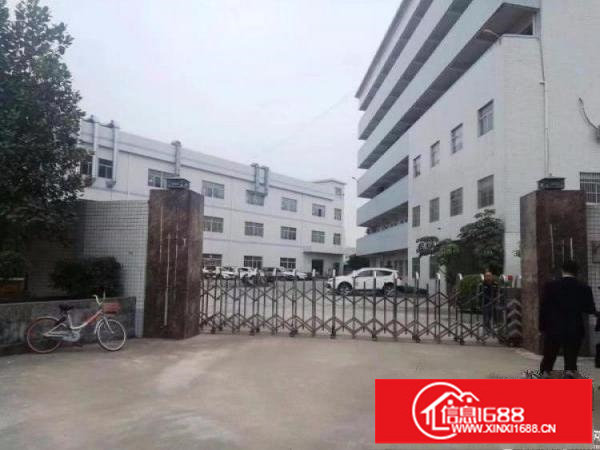 龙岗坪地新出一楼350平方原房东无公摊的厂房出租