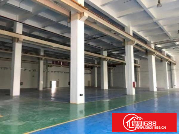 坪山标准厂房17000平方，精装修办室，大小分租