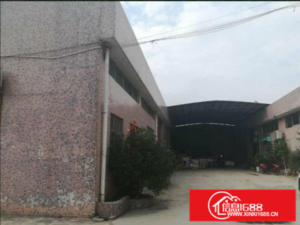 常平靠大朗新出原房东分租单一层600平方，可独院