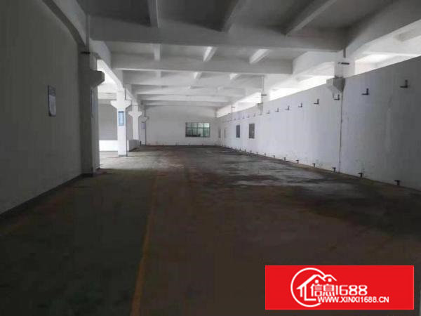 标准厂房一楼六米带牛角可以隔成小独院