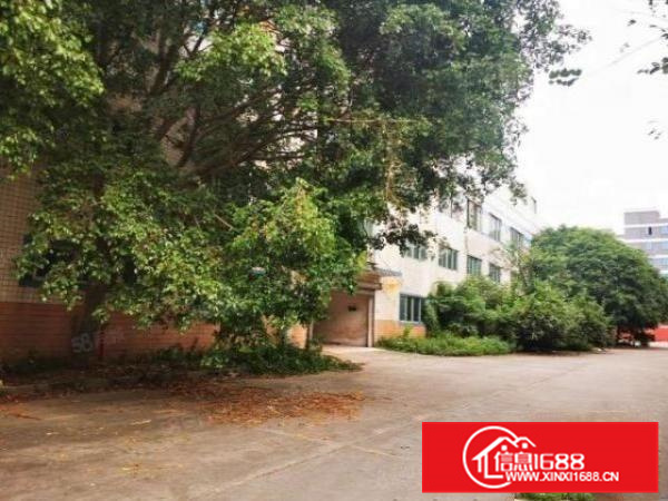 里水布新工业区新出花园式厂房出租10000平，1000平起分