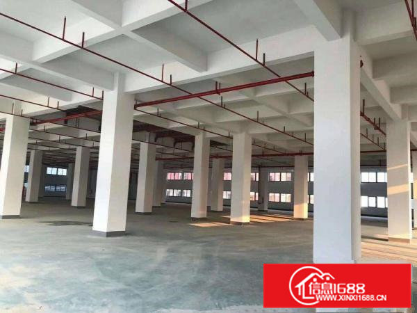 （可办环评）常平全新独院厂房招租27800平方可整租分租