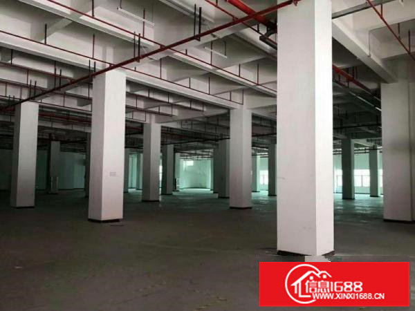 坂交通方便，不堵车，上沈海高速近新出原房东独院厂房内