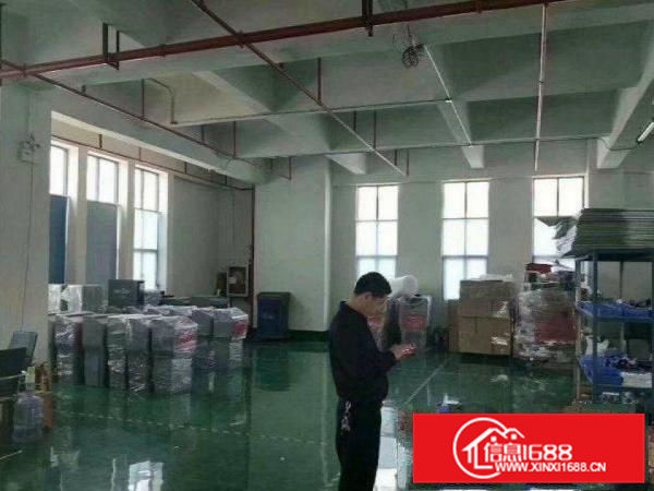 惠阳新墟原房东一楼550，二楼1100平厂房出租可分租！