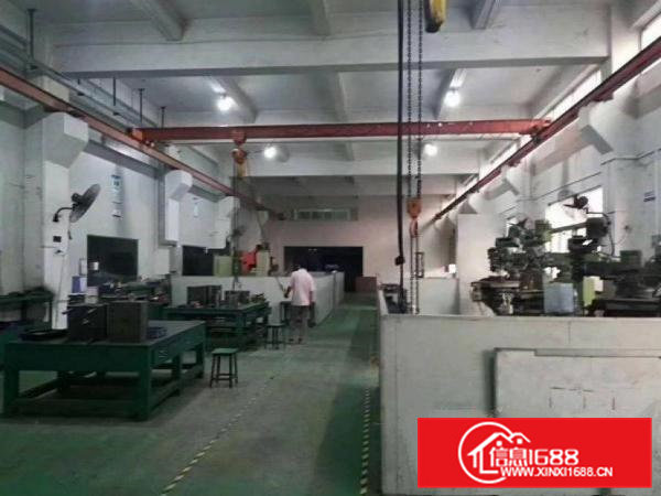 横沥村尾原房东一楼1100平方厂房出租实际面际