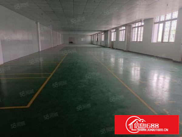 万江环城路外新出带现成环评1000平厂房（出租）