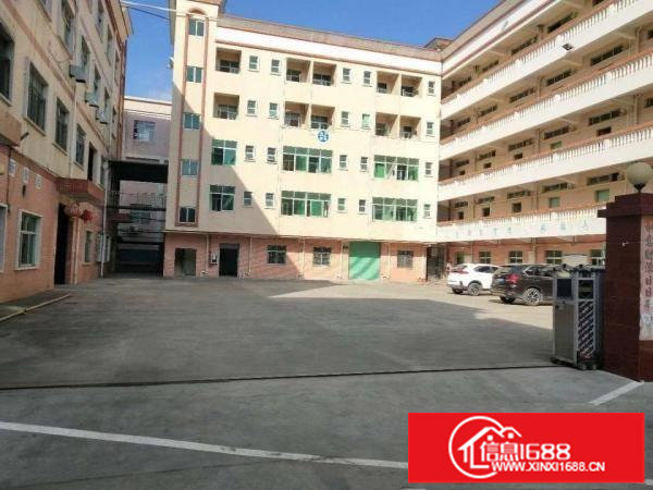 龙岗高新科技园4000至50000平出租