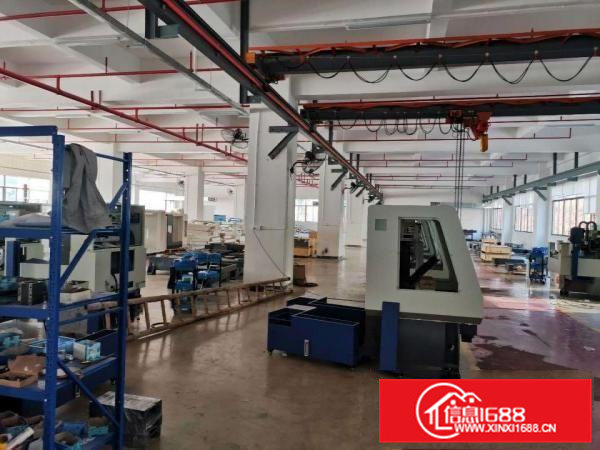 茶山镇原房东9成新7500平花园式独院厂房