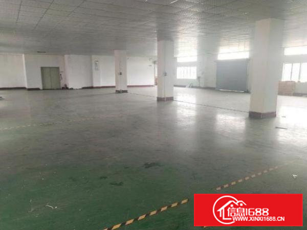 标准厂房二楼1500平方只租九元