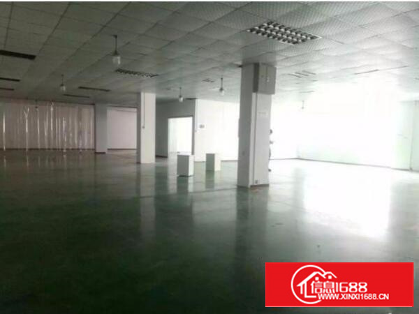 上雪科技园东区1200平厂房招租可分租