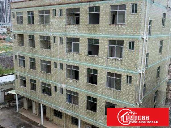 坪山石井独院厂房出租，大小可分租500起