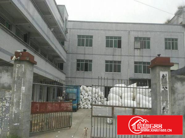 坑梓村委厂房4200平带精装修